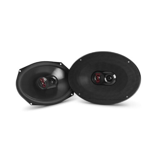 Pioneer TS-W3020PRO PRO Series Subwoofer